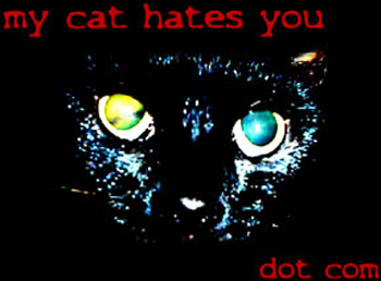 My Cat Hates You!